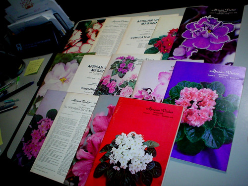 African violet magazine 10 - african,