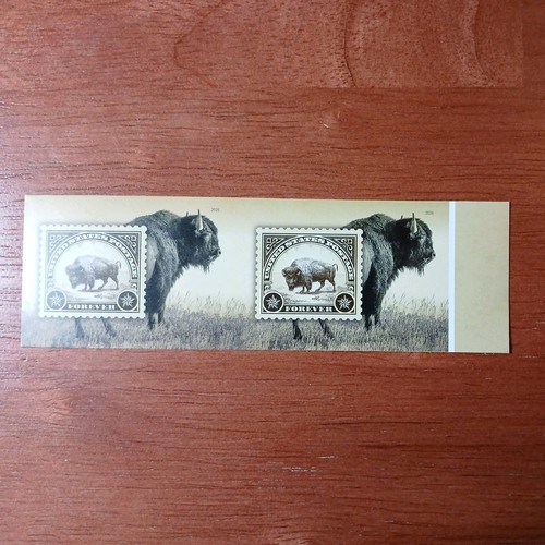2026 scott 6098a - 2026,