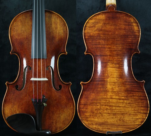 Nicely master violino completo - nicely,