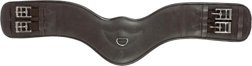 Equinavia saga anatomica - saga,