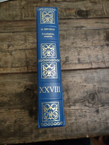 Bergson evoluzione - h, l'evoluzione