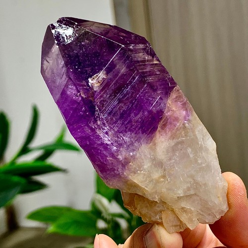 146g ametista naturale geode - ametista,