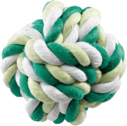 Gioco agility pallina cani - agility,