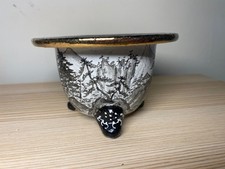 Vaso decorativo Neofinetia