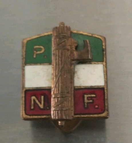 Spilla partito nazionale - spilla,