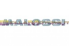 3313735.S0 ADESIVO MALOSSI IN