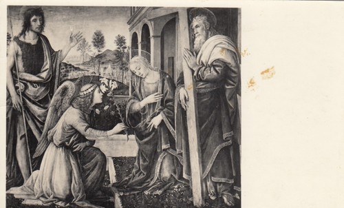 Cartolina napoli campania - *64,