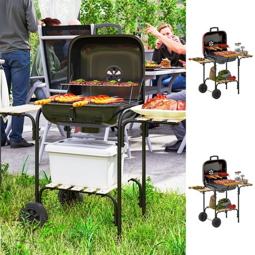 Barbecue carbone grill - carbone,