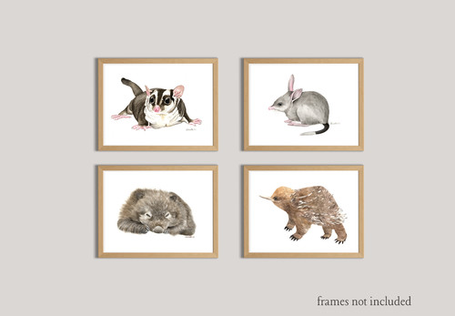 Watercolour australian animal - watercolour,