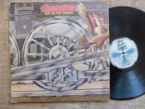 Commodores hot on the - hot,