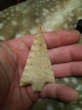 Perndale Unique Brier Creek 3