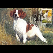 Carte Maximum - N° 3286 - Les