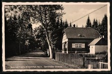 Wildenthal, Carlsfelder