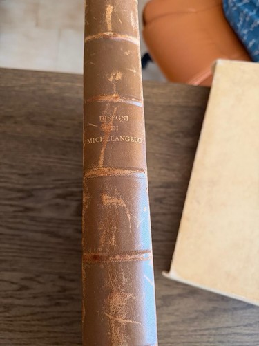 Michelangelo buonarroti - michelangelo,