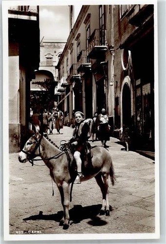 51678447 capri asino - 51678447,