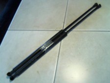 Heckklappendämpferpaar Rover