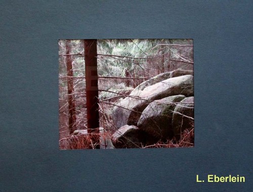Pietre nella foresta - foresta, 18