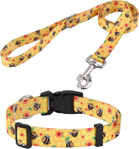 Set collare guinzaglio - collare, per
