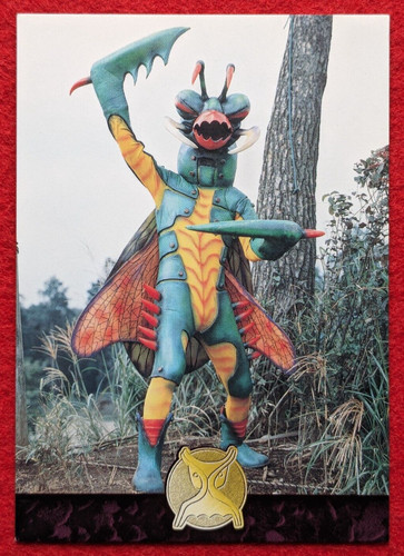 Mantis man kam - mantis,