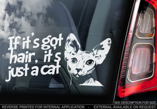 Sphynx it s got hair - -, 'if