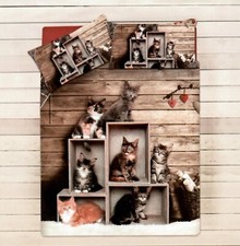 COPRIPIUMINO Cats GATTI