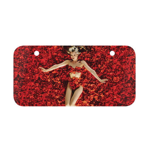 American beauty movie mini - american,
