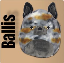 Peluche Squishmallow 12"