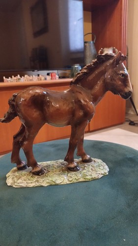 Cavallo puledro porcellana - puledro,