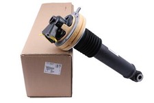 Ammortizzatore Lato Sinistro