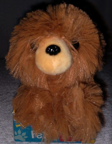 Russ petooties ronnie the chow - ronnie,