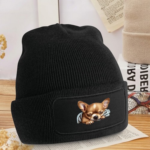 Beanie chihuahua cucciolo - beanie,