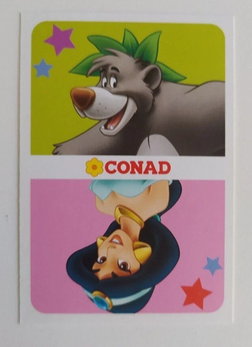 Carte conad 2013 - carte,