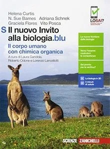 Nuovo invito alla - invito,