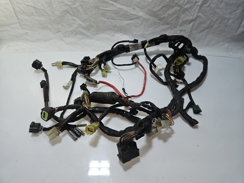Faisceau electrique yamaha - faisceau,