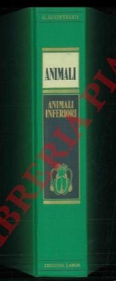 Scortecci giuseppe animali - giuseppe,