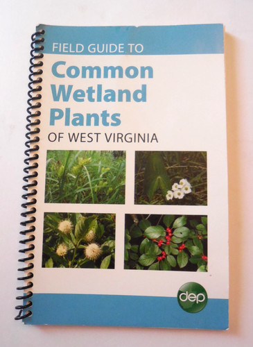 Field guide common wetland - field,