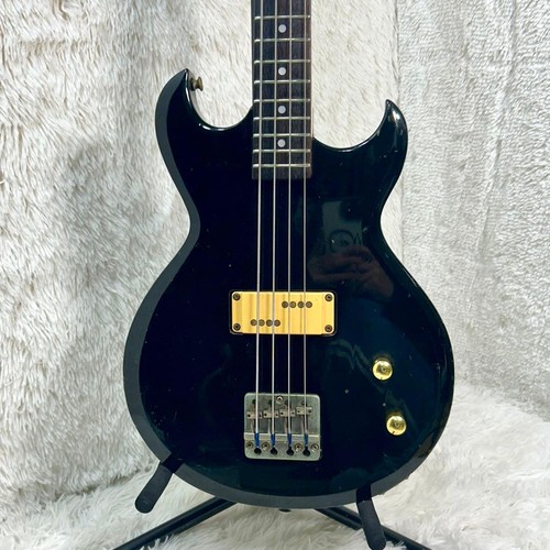 Basso elettrico aria - pro, ii