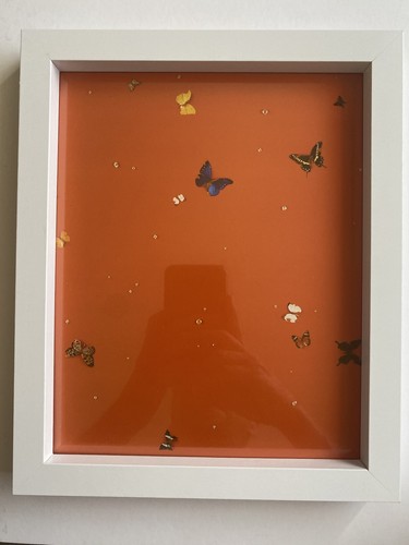 Damien hirst stampa non - damien,