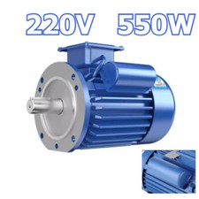 Motore elettrico monofase