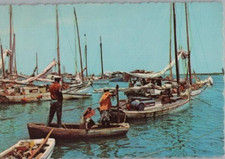 Cartolina Di Pescherecci Nassau Bahamas Continental Chrome 1968