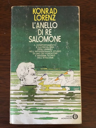 Anello salomone - di, re