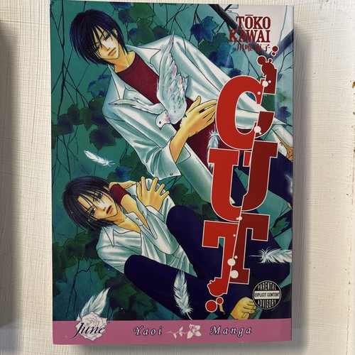 Cut manga yaoi raro 2008 - 2008, di