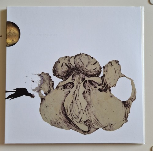Coil the ape of - coil, –