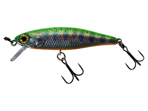 Illex tiny fry - tiny, 50