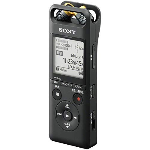 Sony pcm a10 16gb - pcm-a10,