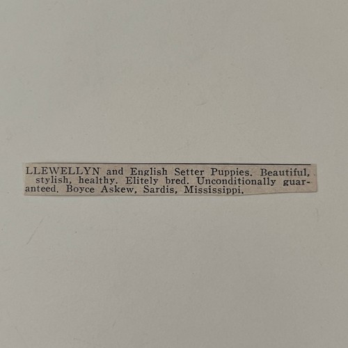 Pubblicità llewellyn - llewellyn, &
