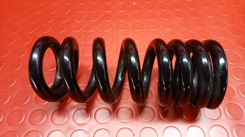 Molla ammortizzatore benelli - molla,