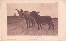 ARTE -  STEFANO  BRUZZI