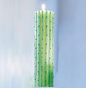 Candela Cactus Design Canyon - Scegli la Misura