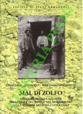 CERASOLI Giancarlo - MAGALOTTI Pier Paolo - Mal di zolfo. Minatori, medici e ma